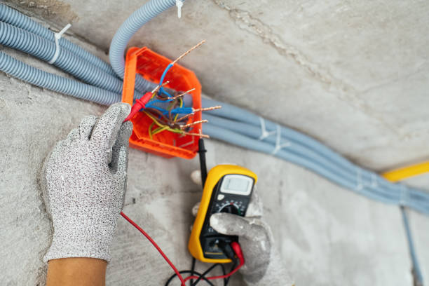 Best 24-Hour Electrician  in Swisher, IA